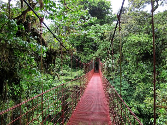 Monteverde Cloud Forest Reserve